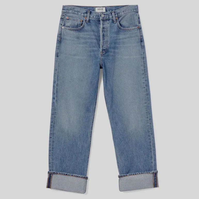 AGOLDE Fran Low Slung Straight Leg Jeans in Invention