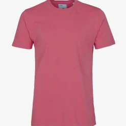 Colourful Standard Classic Organic T Shirt in Raspberry Pink