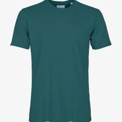 Colourful Standard Classic Organic T Shirt in Ocean Green