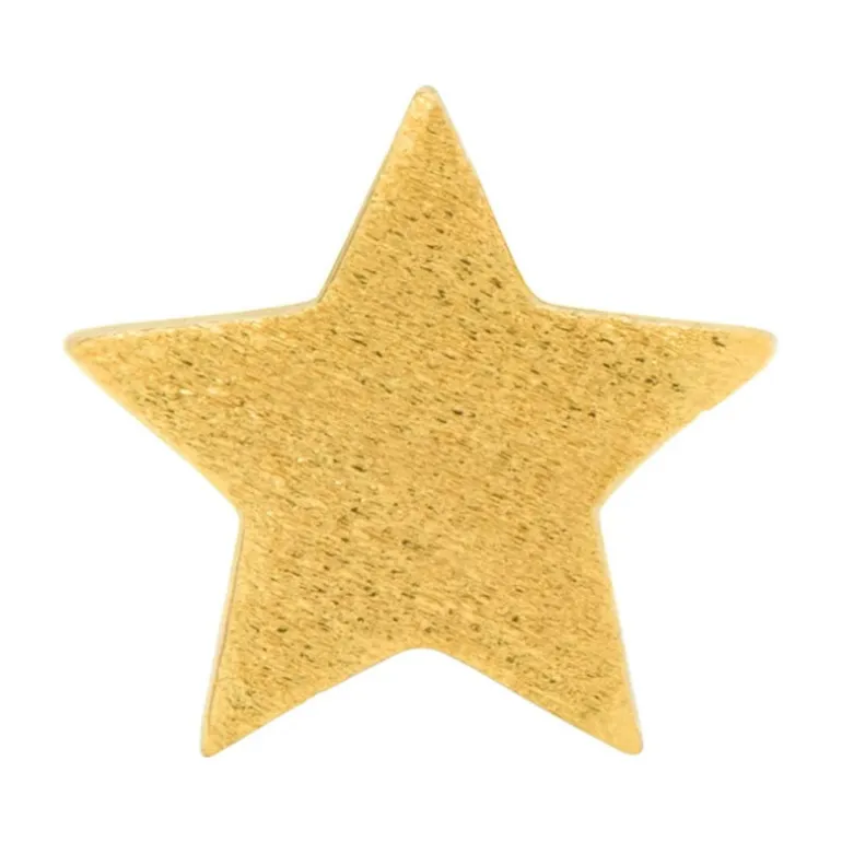 LULU Copenhagen Star Earring in Gold