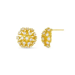 Orelia Statement Crystal Burst Stud Earring in Crystal