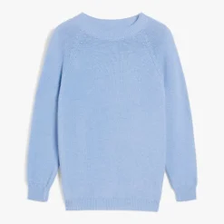 Weekend MaxMara Linz Jumper in Sky Blue